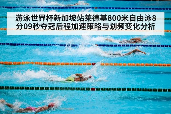 游泳世界杯新加坡站莱德基800米自由泳8分09秒夺冠后程加速策略与划频变化分析