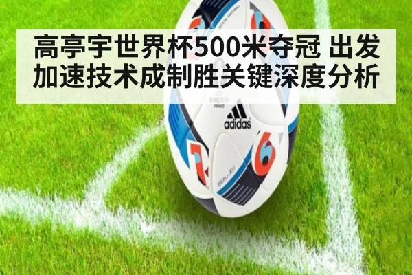 高亭宇世界杯500米夺冠 出发加速技术成制胜关键深度分析